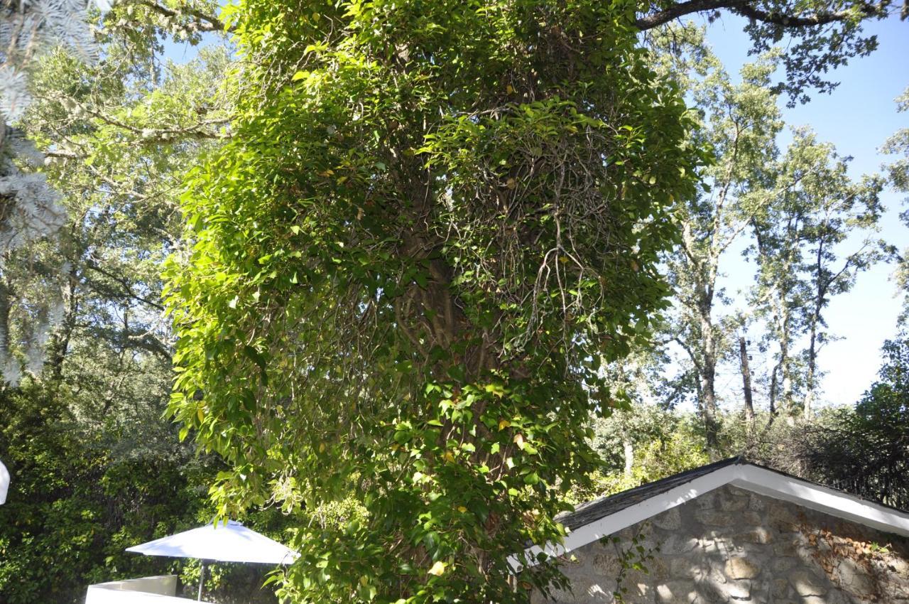 Espejo De Soledades Villa Vigo de Sanabria ภายนอก รูปภาพ